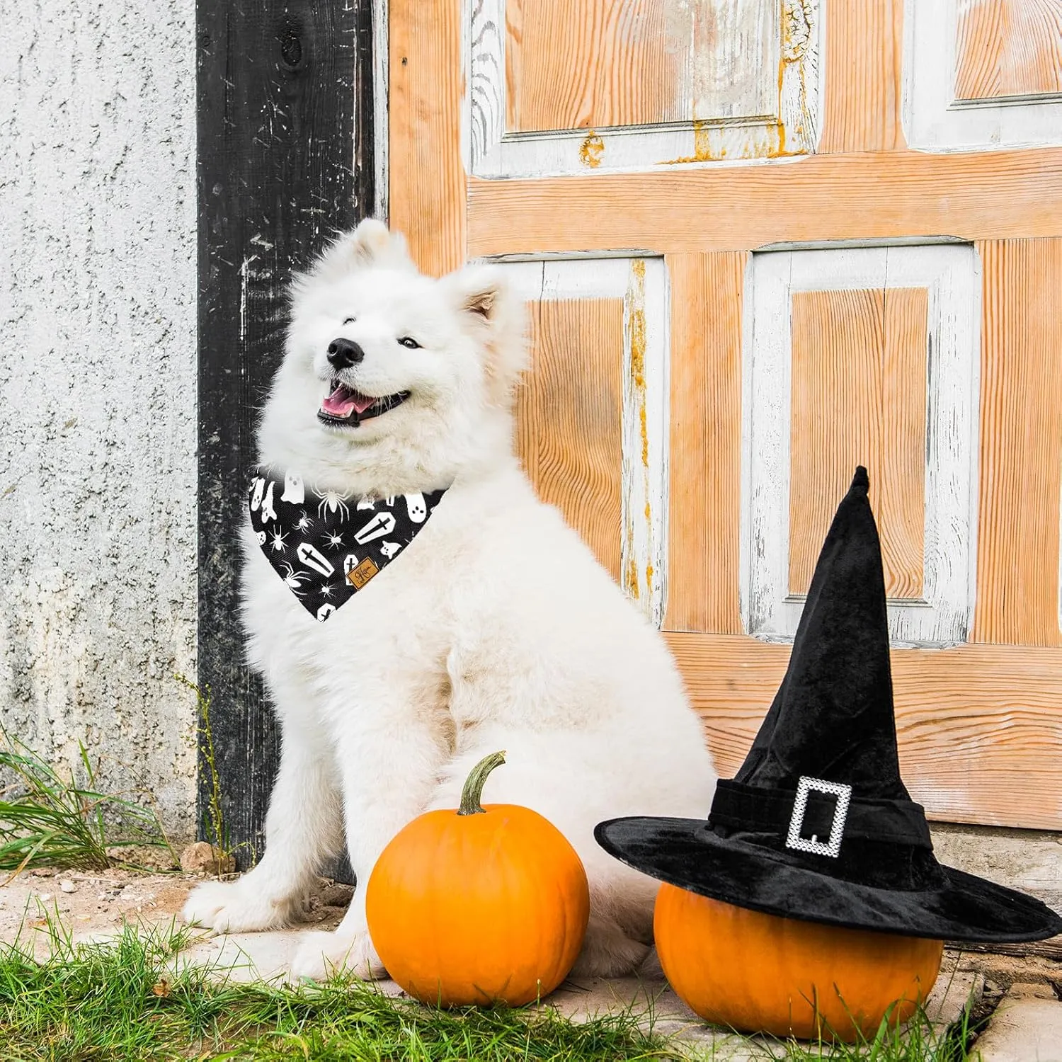 2 Pcs Halloween Dog Bandana Black White Ghost Spider Skull Bats Pumpkin Lantern Print Fabric Pet Scarf Medium Sizes Adjustable Pet Neckerchief for Boys Girls Halloween Costume Accessories