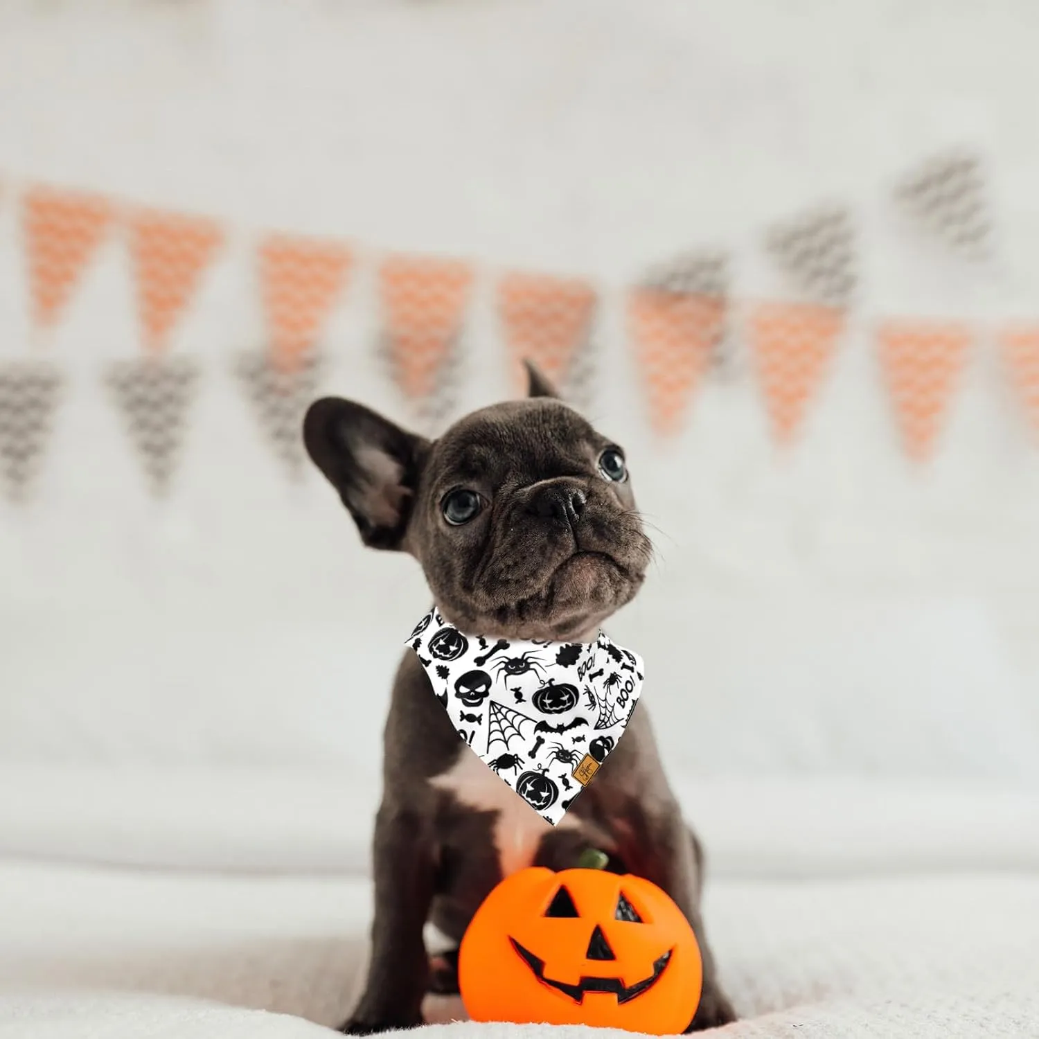 2 Pcs Halloween Dog Bandana Black White Ghost Spider Skull Bats Pumpkin Lantern Print Fabric Pet Scarf Medium Sizes Adjustable Pet Neckerchief for Boys Girls Halloween Costume Accessories