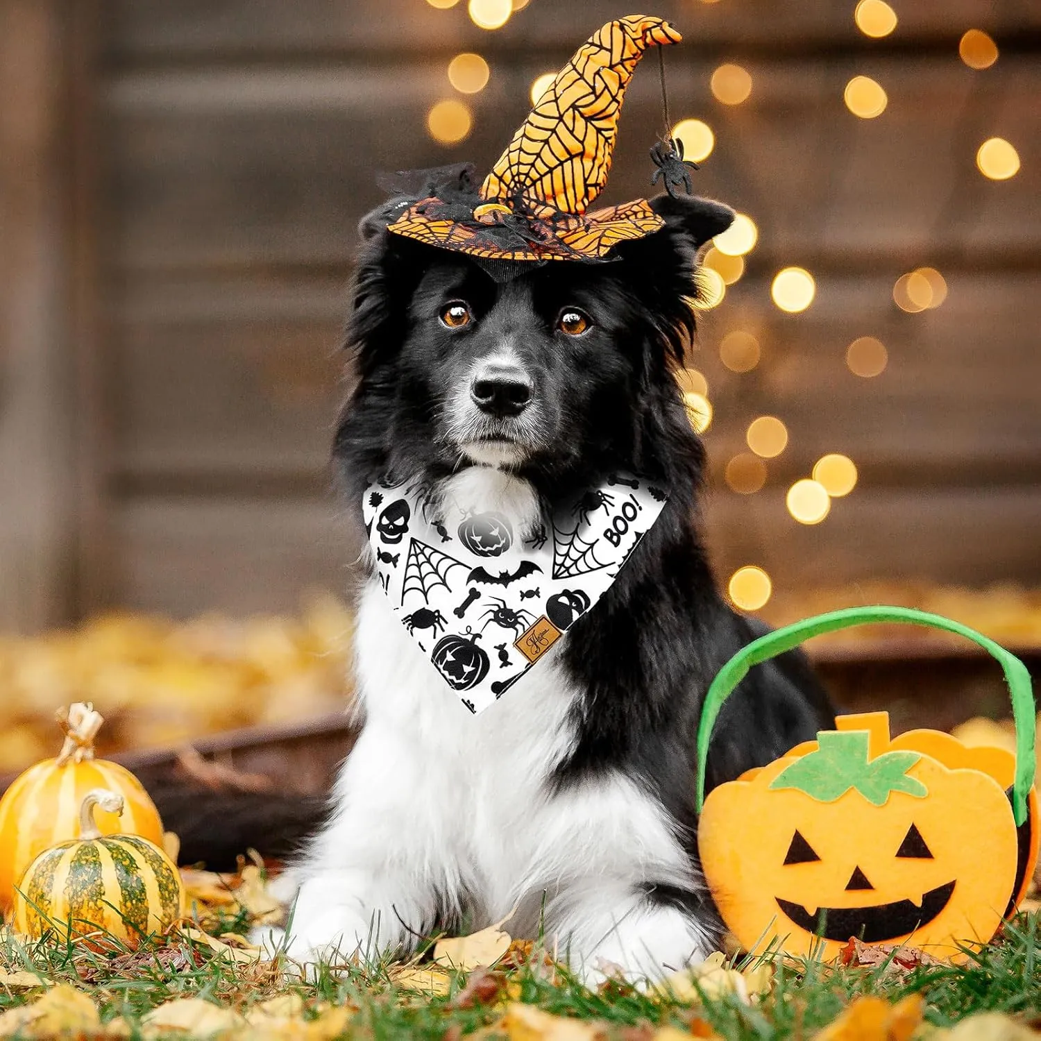 2 Pcs Halloween Dog Bandana Black White Ghost Spider Skull Bats Pumpkin Lantern Print Fabric Pet Scarf Medium Sizes Adjustable Pet Neckerchief for Boys Girls Halloween Costume Accessories