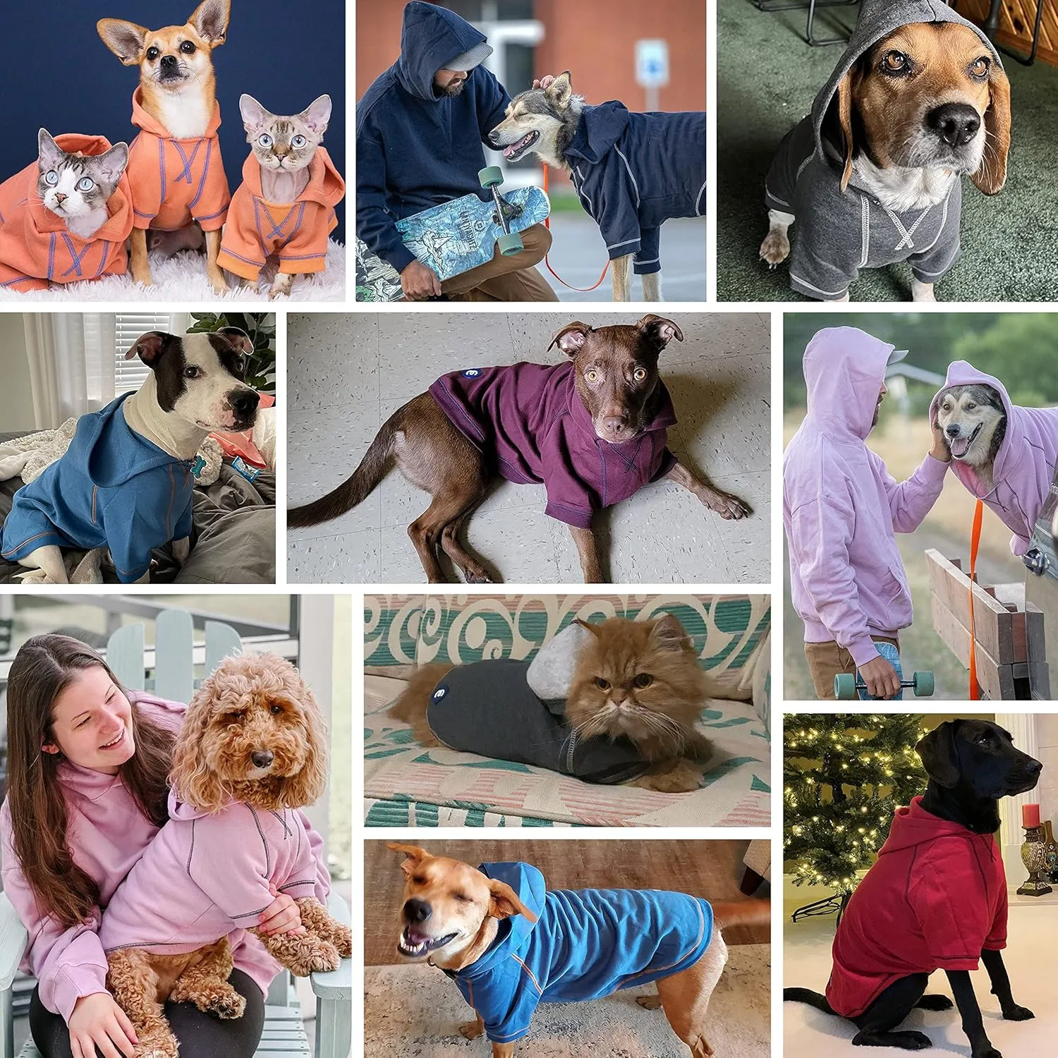 Blueberry Pet Essentials Soft & Comfy Better Basic Cotton Blend Dog Hoodie Sweatshirt in Burgundy Red, Back Length 20", Pack of 1 Jacket for Dogs