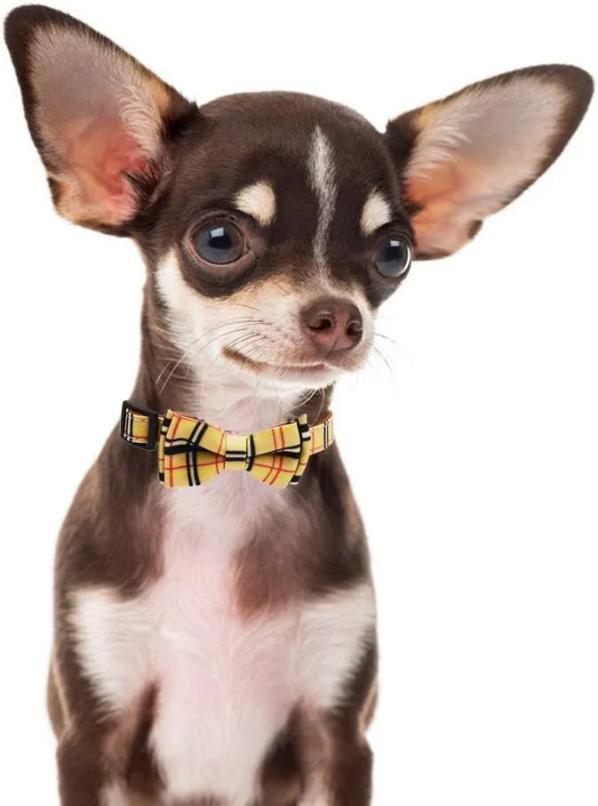 Bowtie Dog Collar and Leash Set Classic Plaid Adjustable Dogs Collar with Removable Bow Tie for Small Medium Large Dogs Small