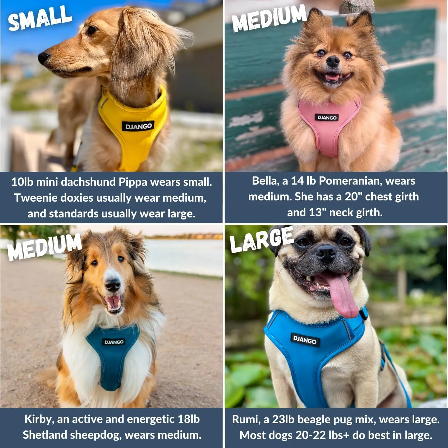 DJANGO Adventure Dog Harness - Stylish Small Dog Harness for Outdoor Adventures and Everyday Wear - Dandelion Yellow Neoprene Adjustable Harness for Dogs with Reflective Piping and Solid Brass D-Ring