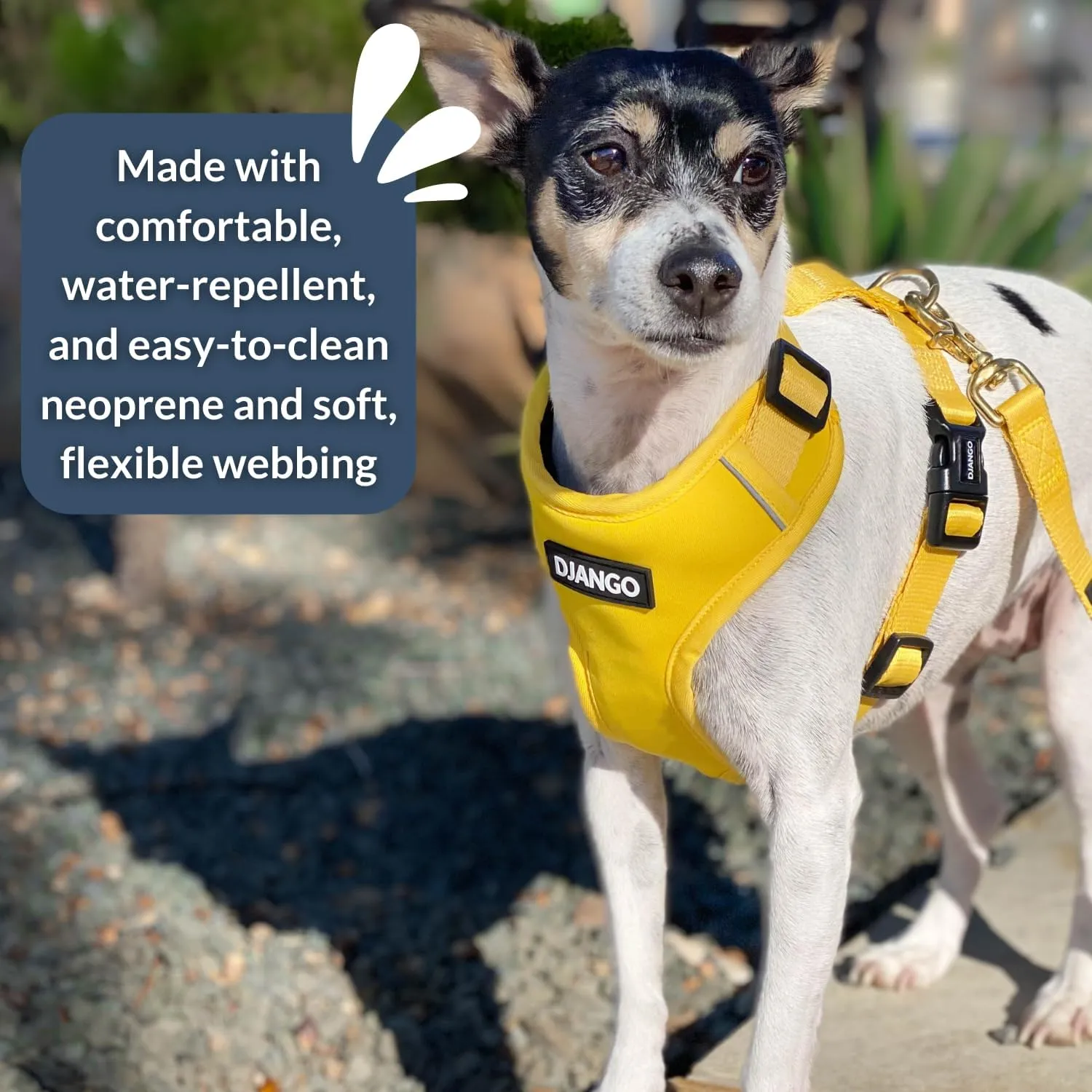 DJANGO Adventure Dog Harness - Stylish Small Dog Harness for Outdoor Adventures and Everyday Wear - Dandelion Yellow Neoprene Adjustable Harness for Dogs with Reflective Piping and Solid Brass D-Ring