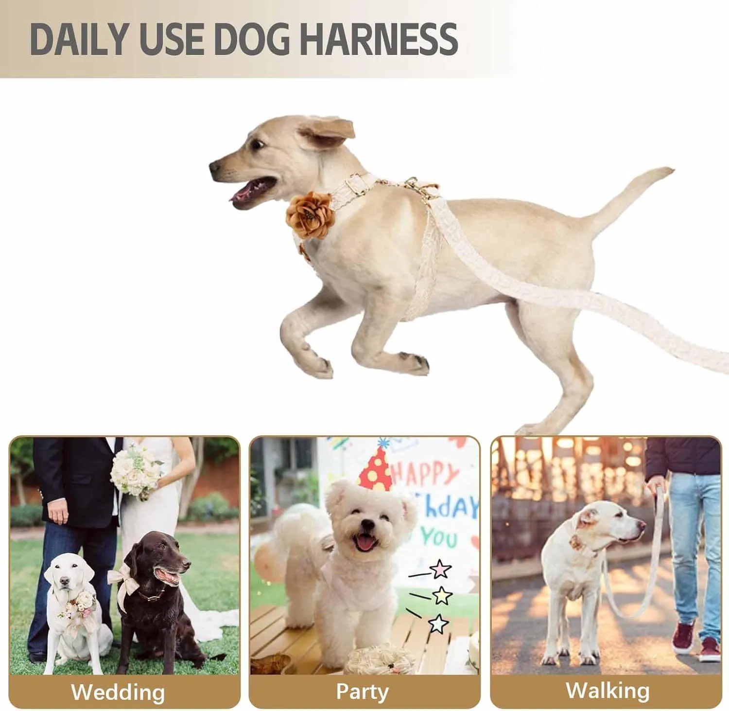 Dog Harness Set Easy Walk No Pull Dog Harness with Handle Girl Leash and Harness for Medium Dogs with Bow & Metal Clasp Adjustable Lace Dog Vest Harness for No Choke Escape Proof Pet Outfit (White,M)