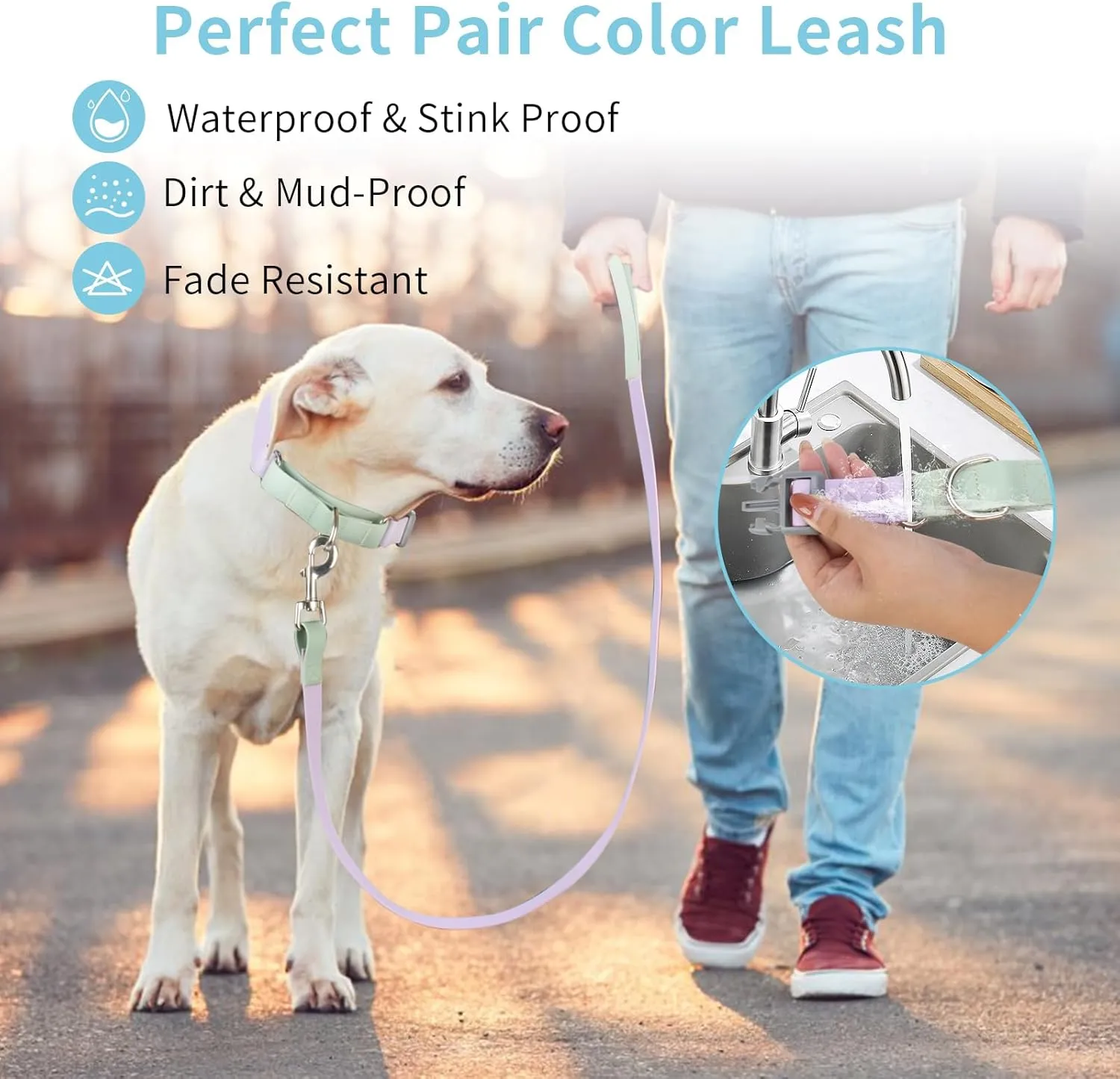Durable Waterproof Dog Lead - PVC Rope Leash for Large/Medium/Small Dogs, Slip Lead for Walking/Running (Purple & Green)