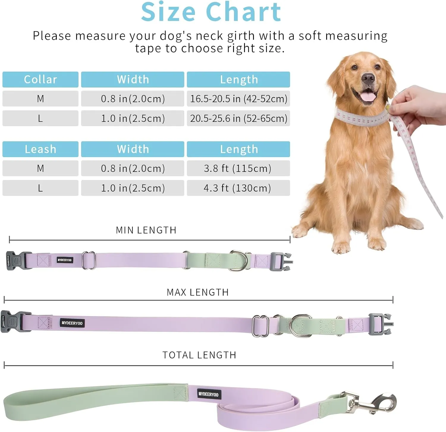 Durable Waterproof Dog Lead - PVC Rope Leash for Large/Medium/Small Dogs, Slip Lead for Walking/Running (Purple & Green)