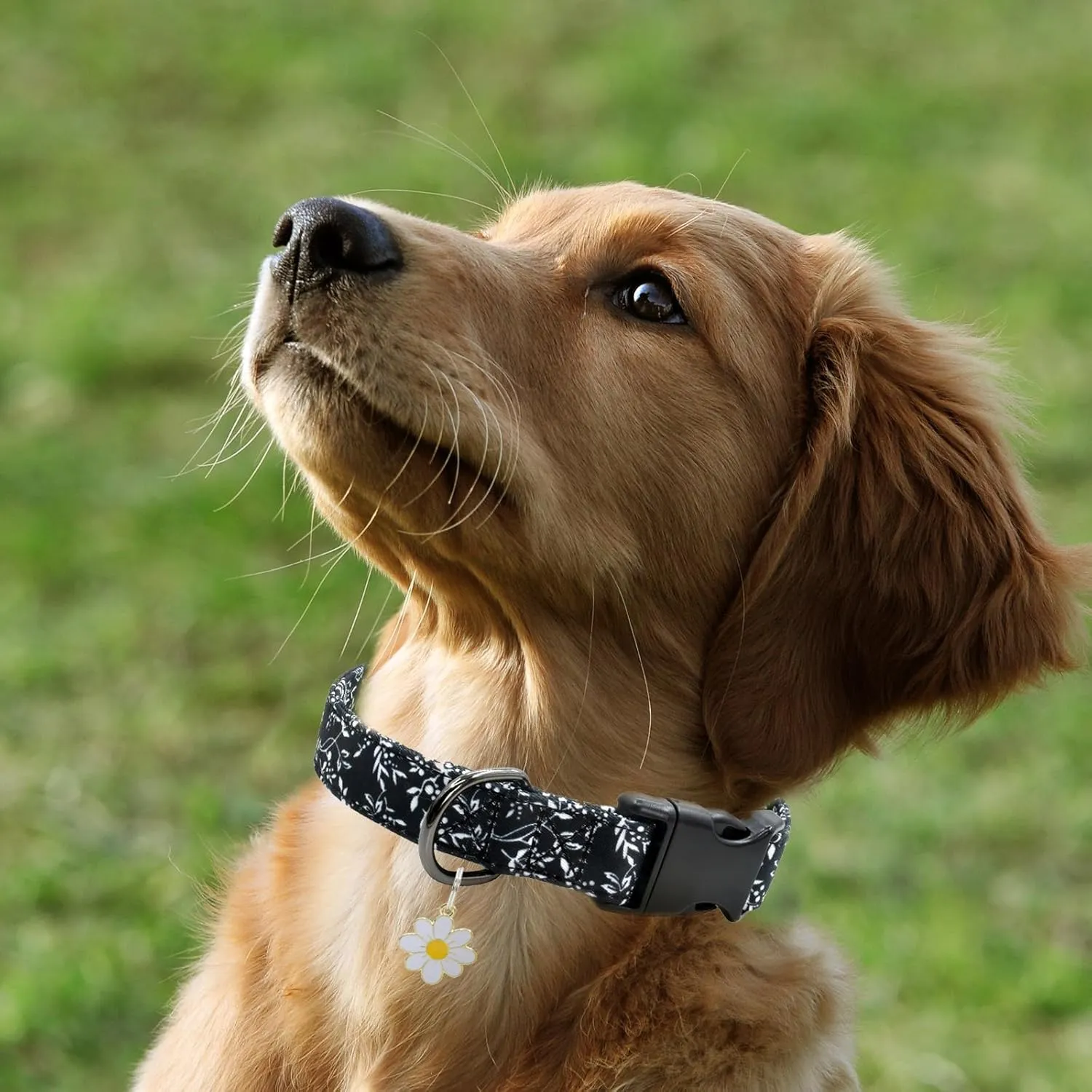 Flower Patterns Dog Collar with Accessories, Soft Cotton Dog Collars for Small Medium Large Female and Male Dogs(White Flower L)