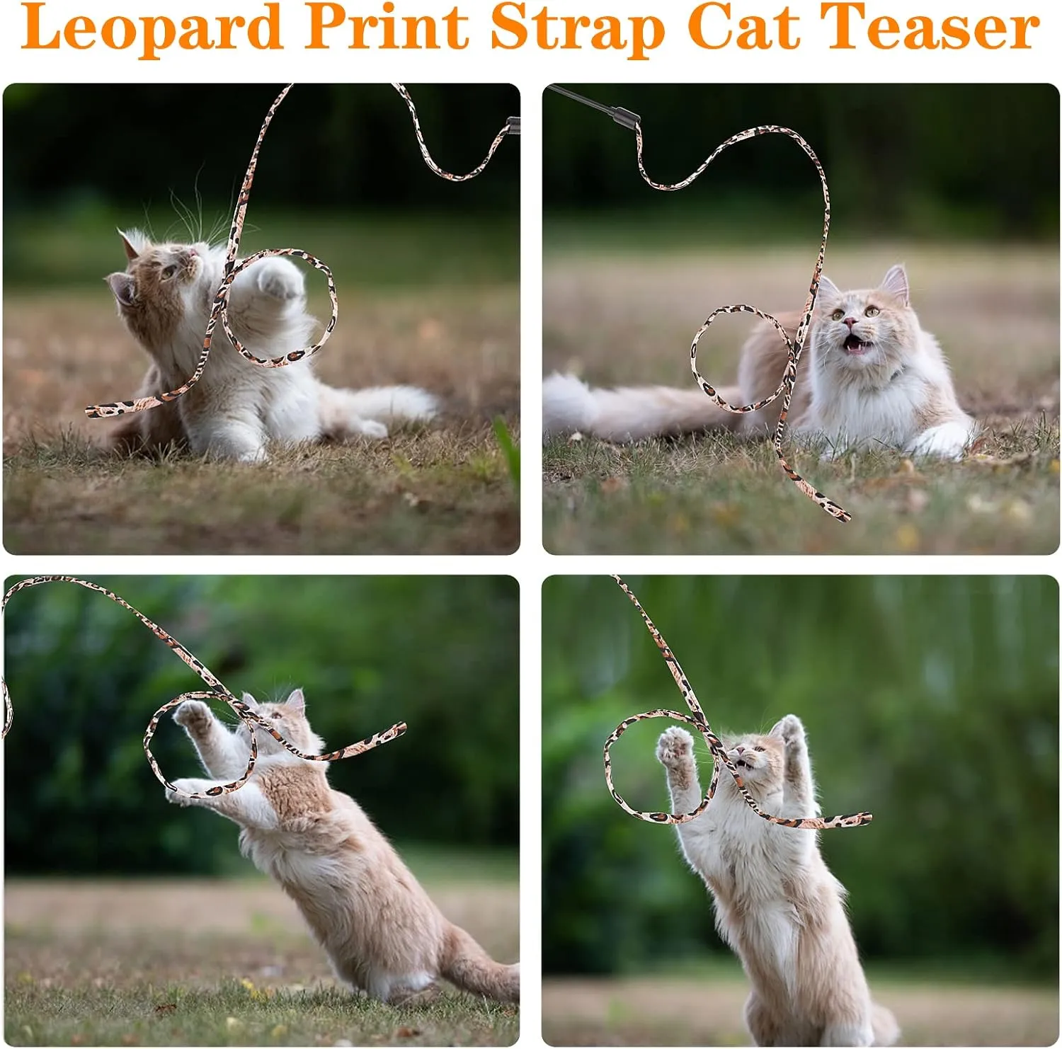 Molain Cat Wand Stick Toy, 5pcs Rainbow Wand for Kittens Training, Interactive Cat Exerciser Playing (30cm, Leopard Print)