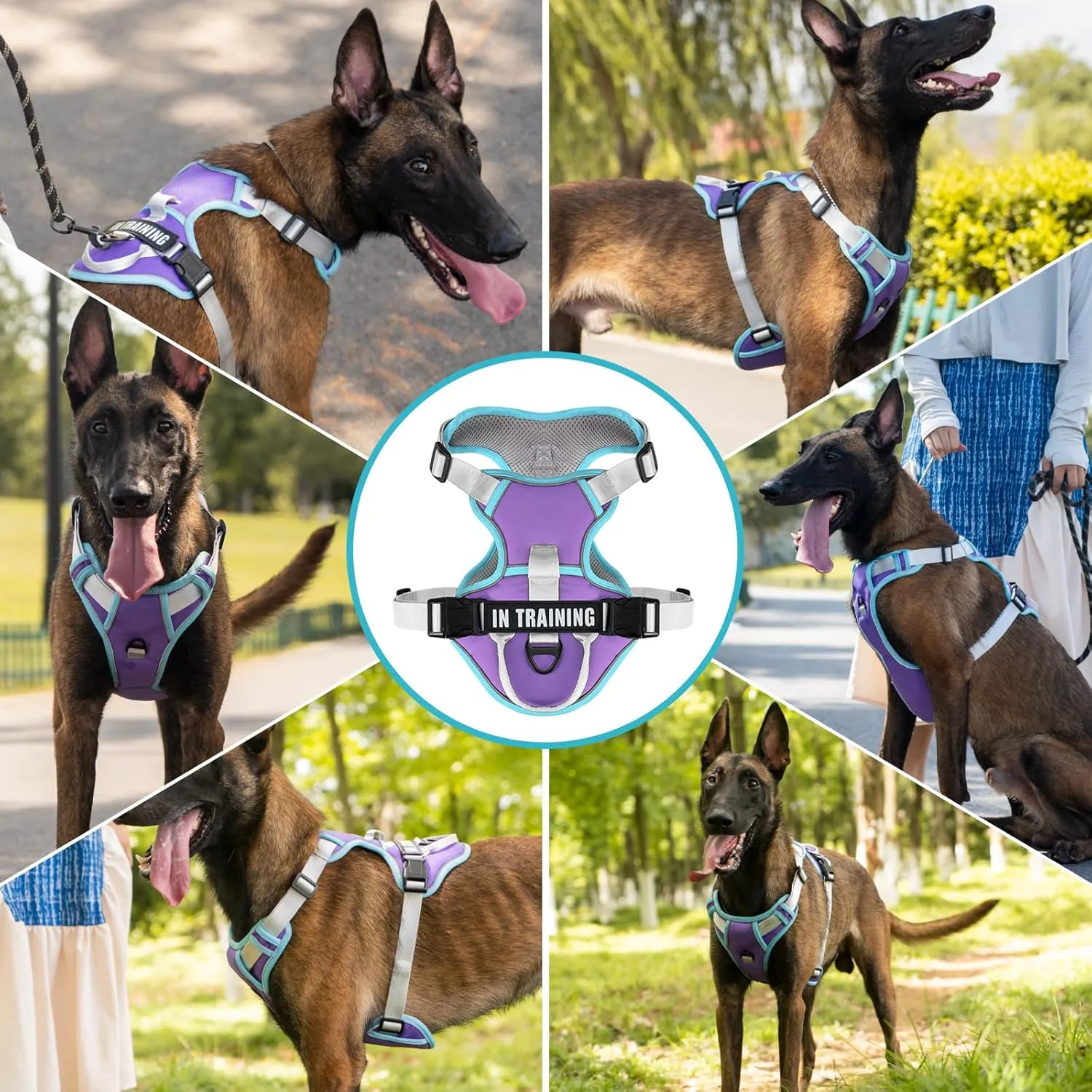 No Pull Dog Harness, Reflective Dog Vest Harness with Front & Back 2 Leash Clips, Oxford Pet Harness Adjustable Soft Padded Dog Vest with Easy Control Handle for Small Medium Large Dogs