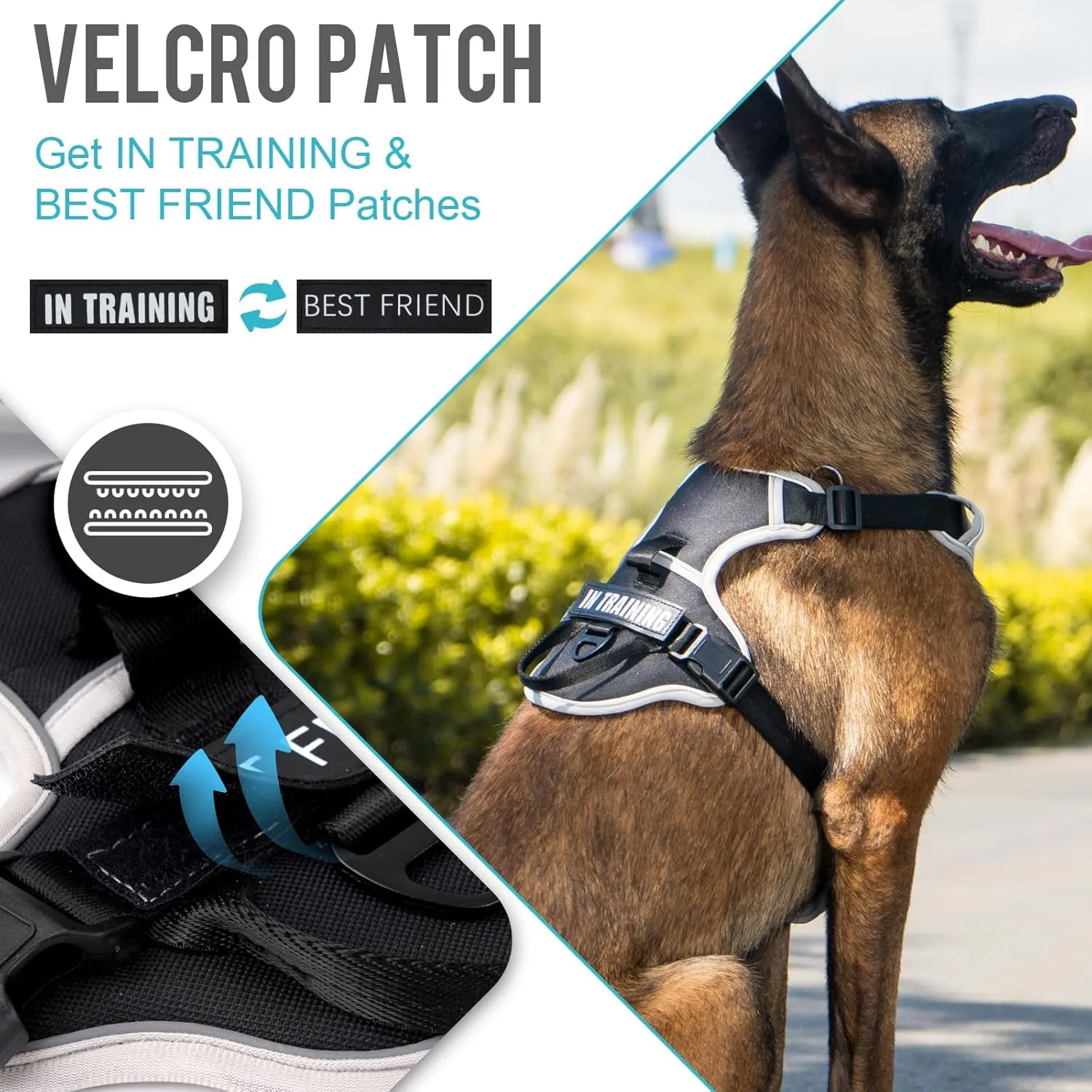 No Pull Dog Harness, Reflective Dog Vest Harness with Front & Back 2 Leash Clips, Oxford Pet Harness Adjustable Soft Padded Dog Vest with Easy Control Handle for Small Medium Large Dogs