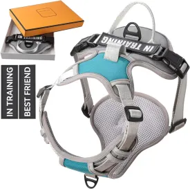No Pull Dog Harness, Reflective Dog Vest Harness with Front & Back 2 Leash Clips, Oxford Pet Harness Adjustable Soft Padded Dog Vest with Easy Control Handle for Small Medium Large Dogs