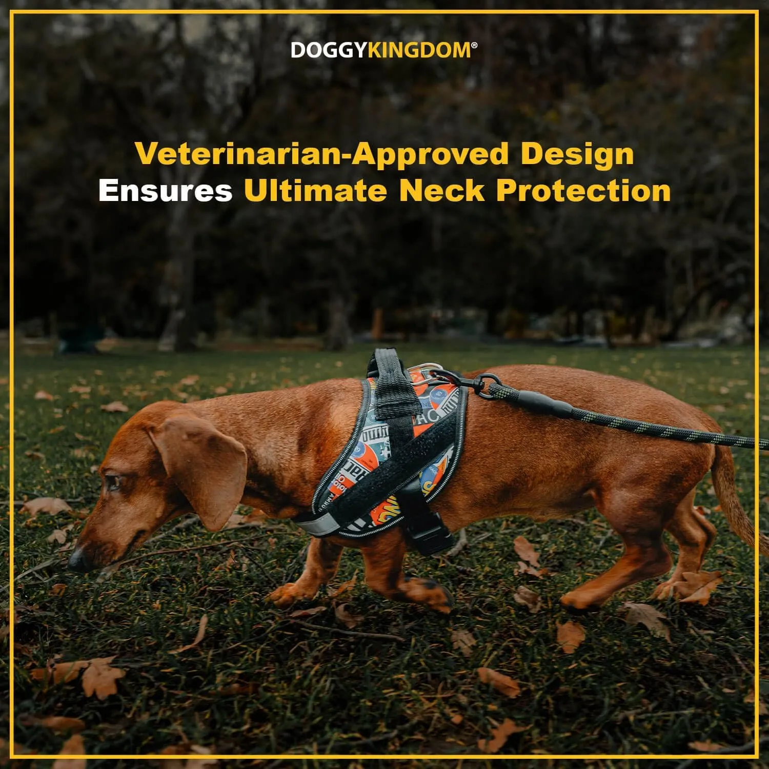 Non Pull Dog Harness with Patch Panels and Handle, Adjustable, Reflective, No Choke, Heavy Duty Easy On Service Dog Vest Harnesses for Medium Large Small Sized Dogs - Blue, XL