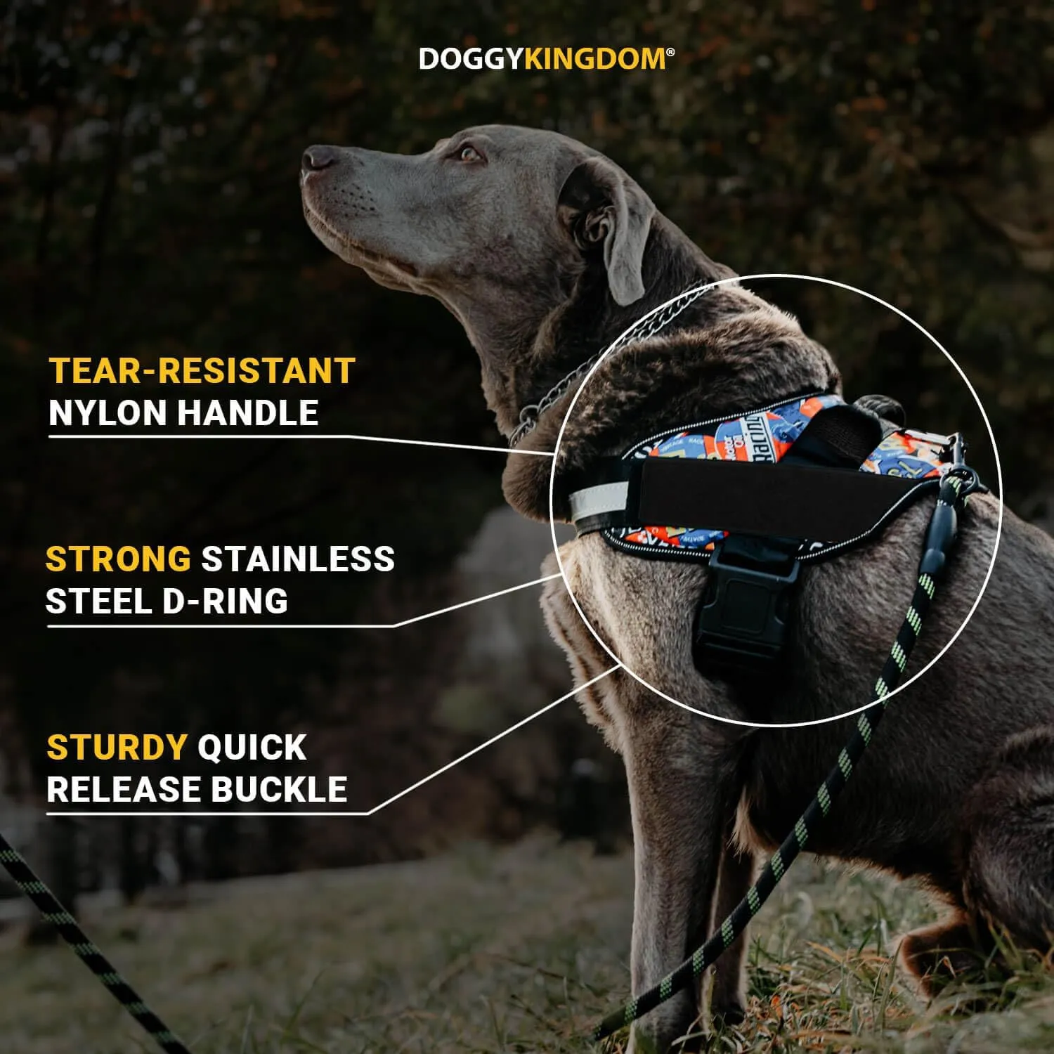 Non Pull Dog Harness with Patch Panels and Handle, Adjustable, Reflective, No Choke, Heavy Duty Easy On Service Dog Vest Harnesses for Medium Large Small Sized Dogs - Blue, XL