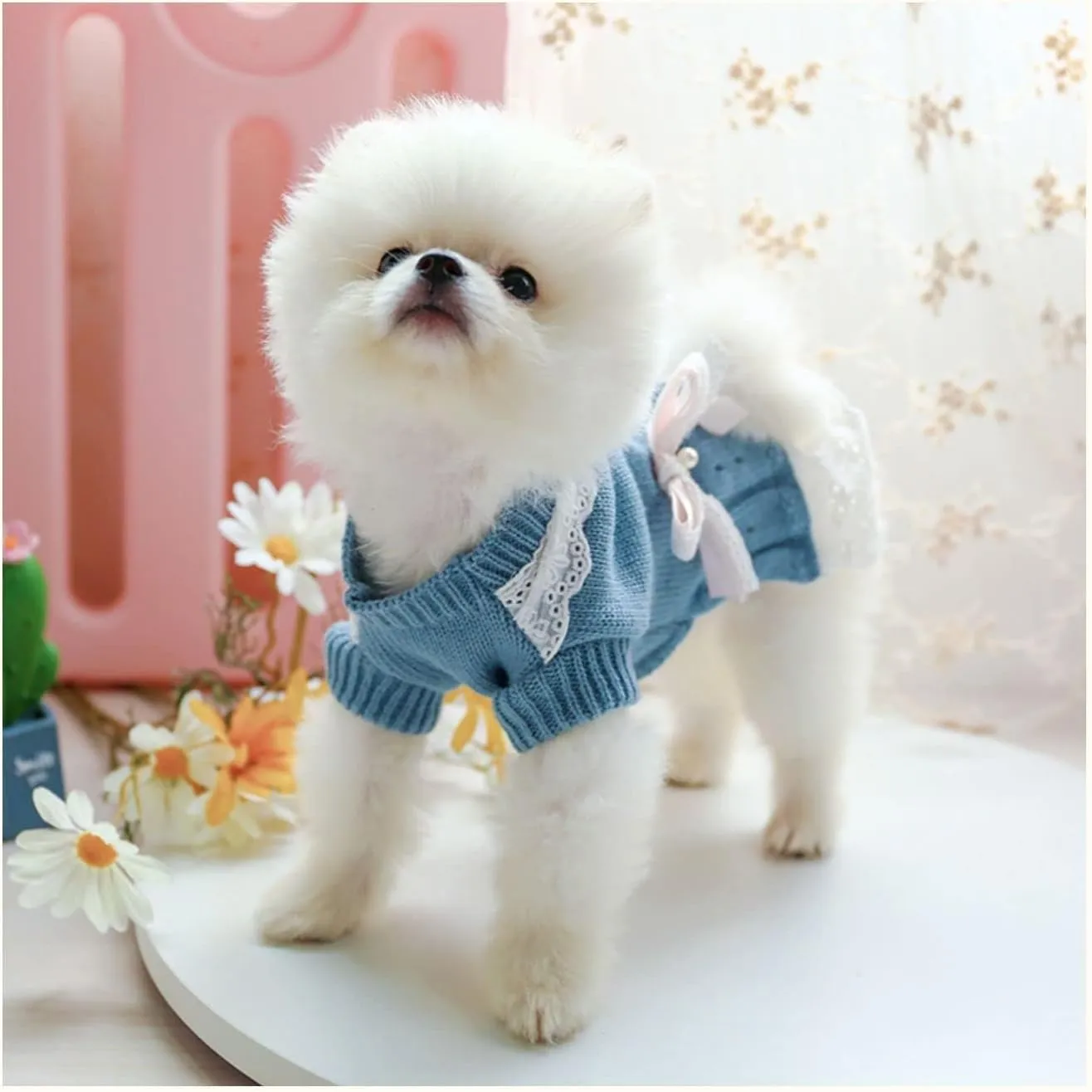 Pet Sweater Dress for Small Dogs With Bow - Winter Warm Princess Lace Clothes for Female Girl Dachshund Chihuahua Corgi Cat - Pink/Blue for Christmas Birthday Valentine's Day (Blue, Large)