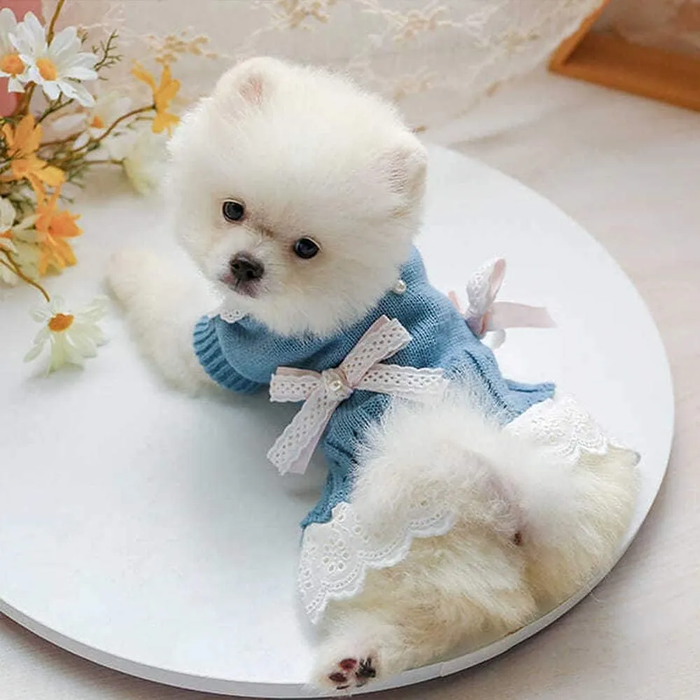 Pet Sweater Dress for Small Dogs With Bow - Winter Warm Princess Lace Clothes for Female Girl Dachshund Chihuahua Corgi Cat - Pink/Blue for Christmas Birthday Valentine's Day (Blue, Large)