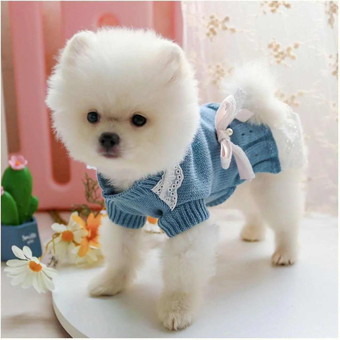 Pet Sweater Dress for Small Dogs With Bow - Winter Warm Princess Lace Clothes for Female Girl Dachshund Chihuahua Corgi Cat - Pink/Blue for Christmas Birthday Valentine's Day (Blue, Large)