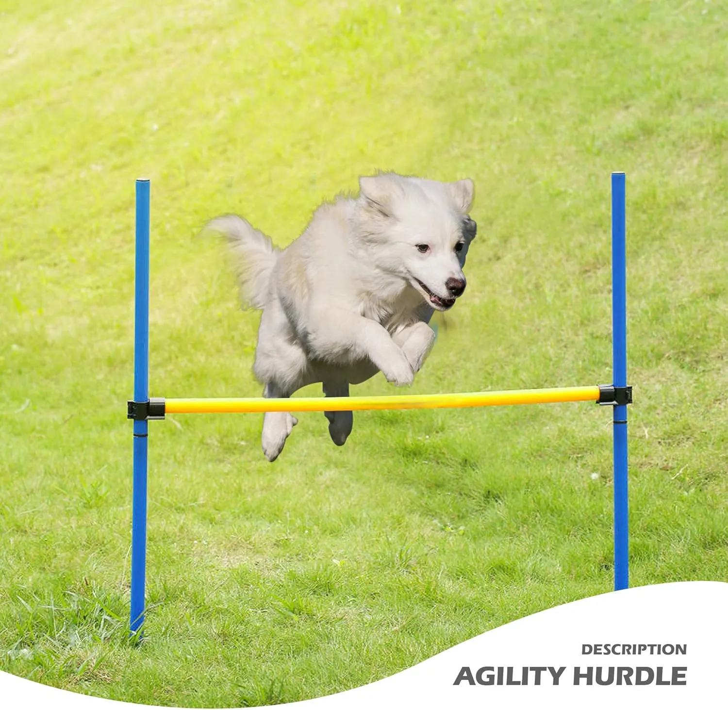 Petprime Dog Agility Training Course Equipment Professional, Adjustable Height Hurdle for Dogs, Dog Agility Kit Hoop Jump Obstacle Outdoor, Puppy Agility Course Backyard Set, 3.8ft High/3.6ft Wide