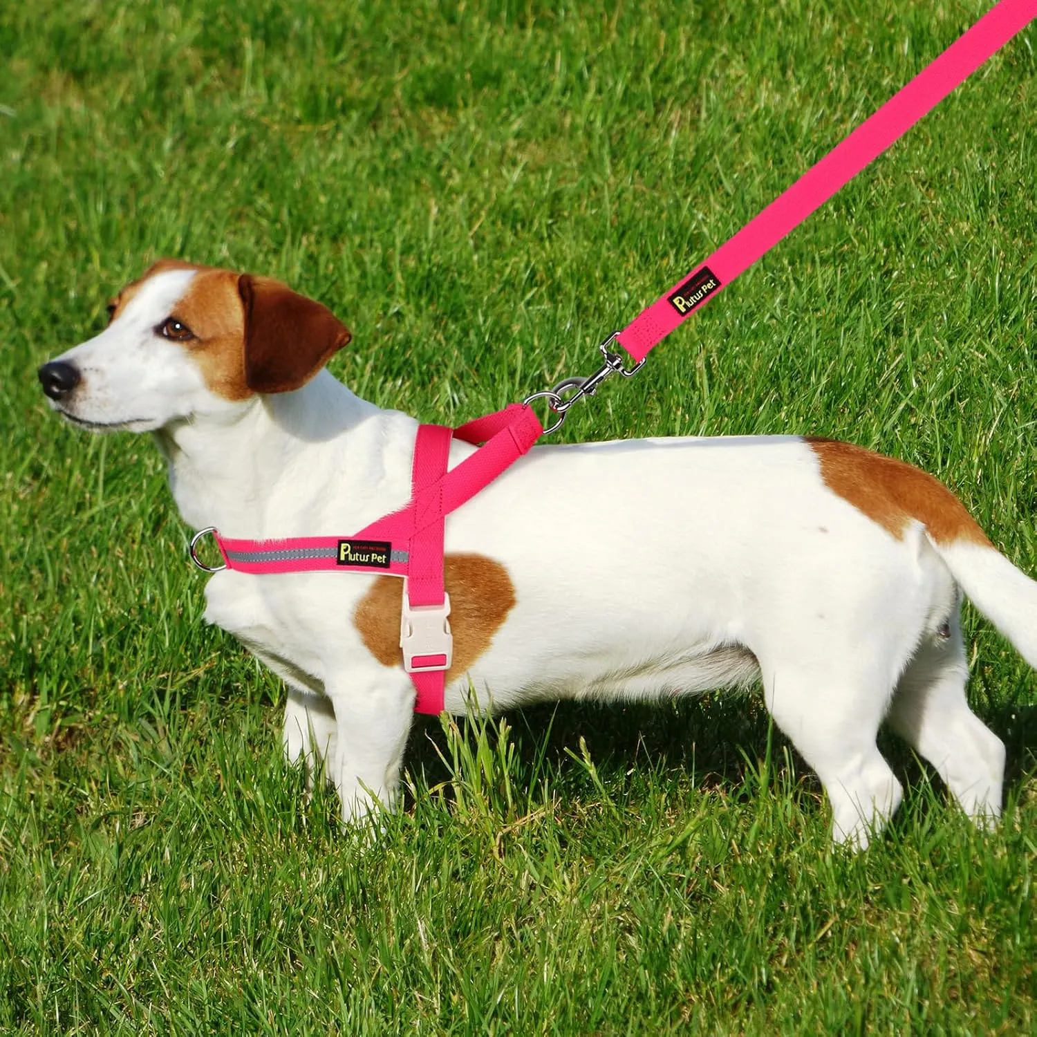 Plutus Pet Cotton Dog Harness and Leash Set, Reflective and Soft Padded, Quick Fit Vest Harness, for Small, Medium and Large Dogs, Hot Pink, S