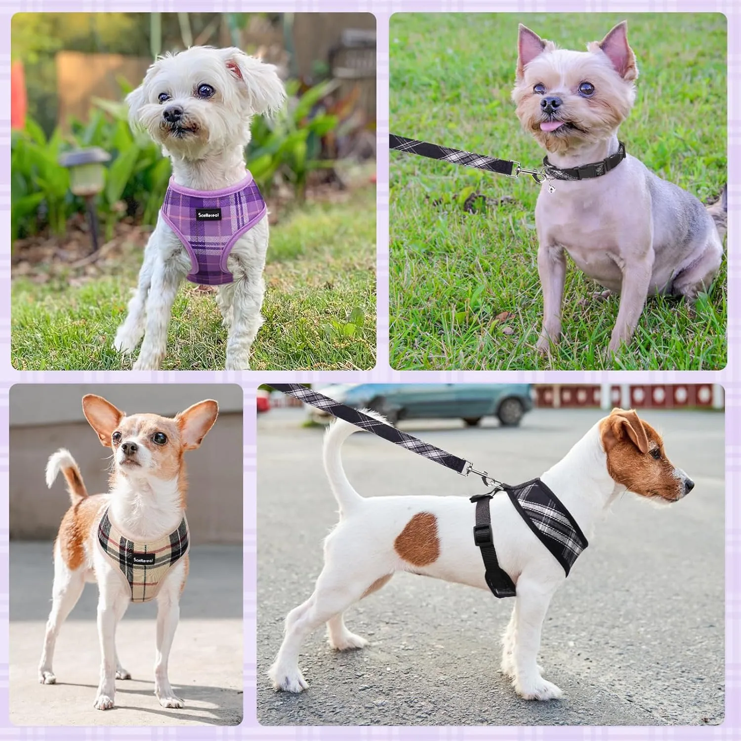 SCENEREAL No Pull Dog Harness Collar and Leash Set Small Medium Sized Dog, Soft Mesh Step in Puppy Harnesses, No Chock Plaid Adjustible Pet Vest for Outdoor Walking Training and Running, Beige XS