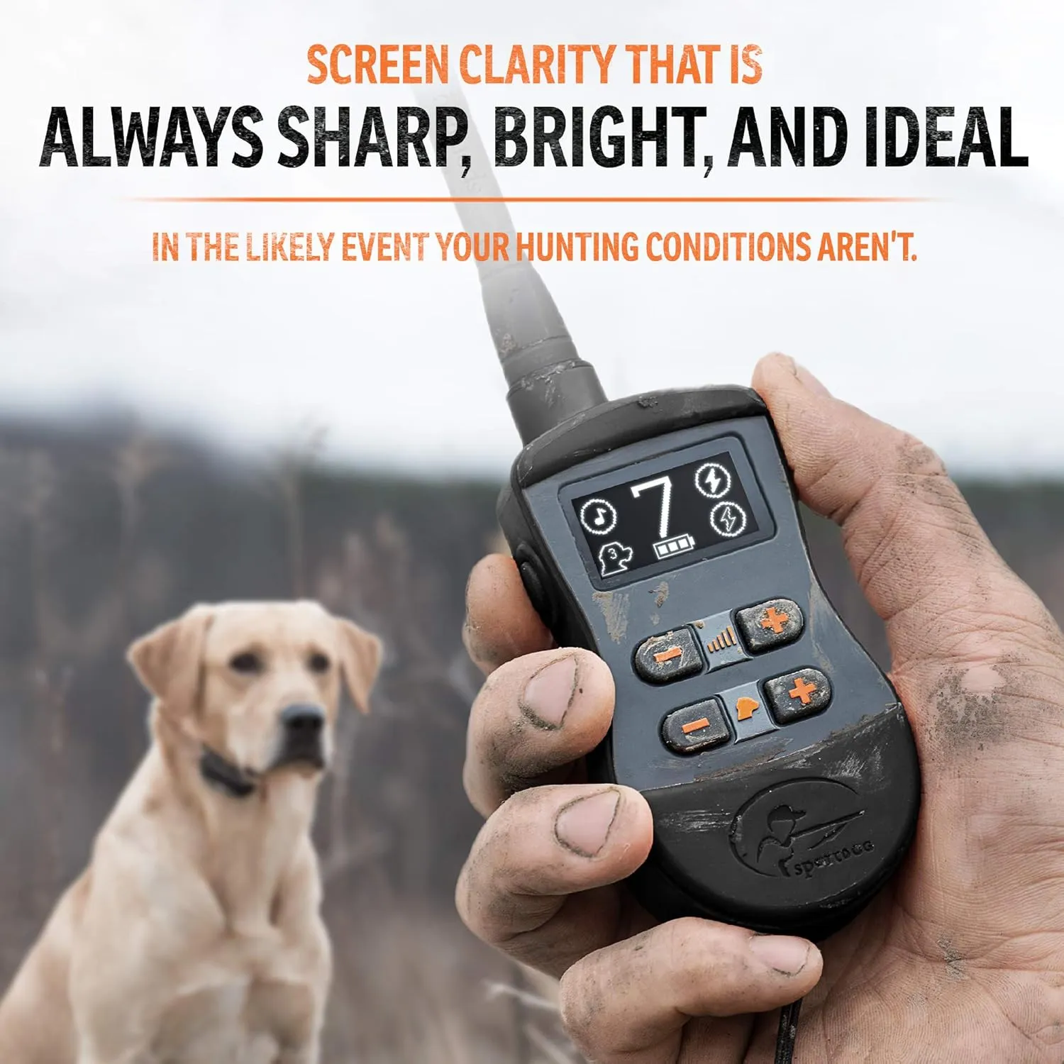 SportDOG Brand SportTrainer 1275 Remote Trainer - Bright, Easy to Read OLED Screen - 3/4 Mile Range - Waterproof, Rechargeable Dog Training Collar with Tone, Vibration, and Static, Black